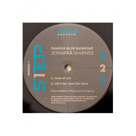Виниловая пластинка Warnes, Jennifer, Famous Blue Raincoat (Box) (Audiophile One-Step Pressing) (0856276002336) - фото 13