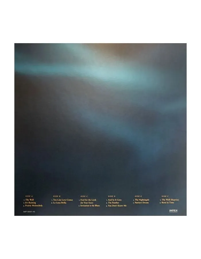 Виниловая пластинка Warnes, Jennifer, The Well (Analogue) (0725543954411) - фото 2