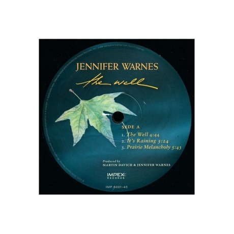 Виниловая пластинка Warnes, Jennifer, The Well (Analogue) (0725543954411) - фото 3