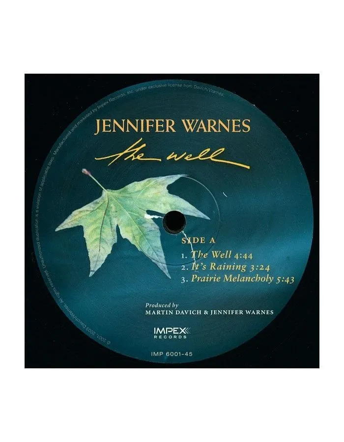 Виниловая пластинка Warnes, Jennifer, The Well (Analogue) (0725543954411) - фото 3