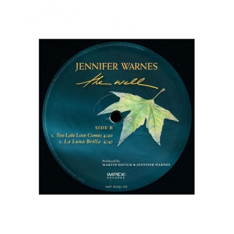 Виниловая пластинка Warnes, Jennifer, The Well (Analogue) (0725543954411) - фото 4