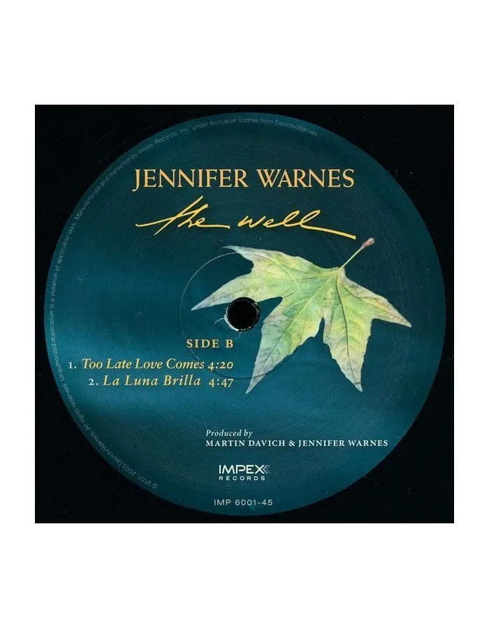 Виниловая пластинка Warnes, Jennifer, The Well (Analogue) (0725543954411) - фото 4