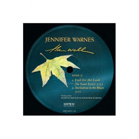 Виниловая пластинка Warnes, Jennifer, The Well (Analogue) (0725543954411) - фото 5