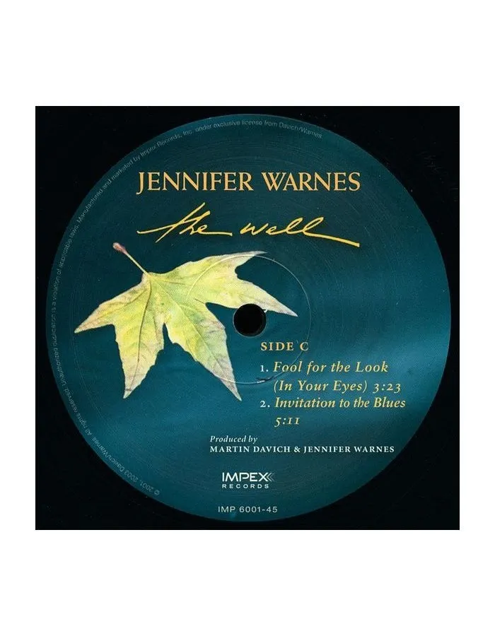 Виниловая пластинка Warnes, Jennifer, The Well (Analogue) (0725543954411) - фото 5