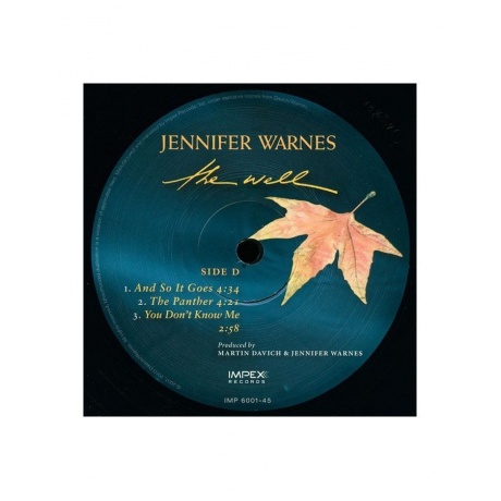 Виниловая пластинка Warnes, Jennifer, The Well (Analogue) (0725543954411) - фото 6