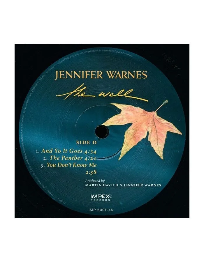 Виниловая пластинка Warnes, Jennifer, The Well (Analogue) (0725543954411) - фото 6