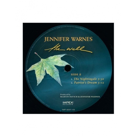 Виниловая пластинка Warnes, Jennifer, The Well (Analogue) (0725543954411) - фото 7