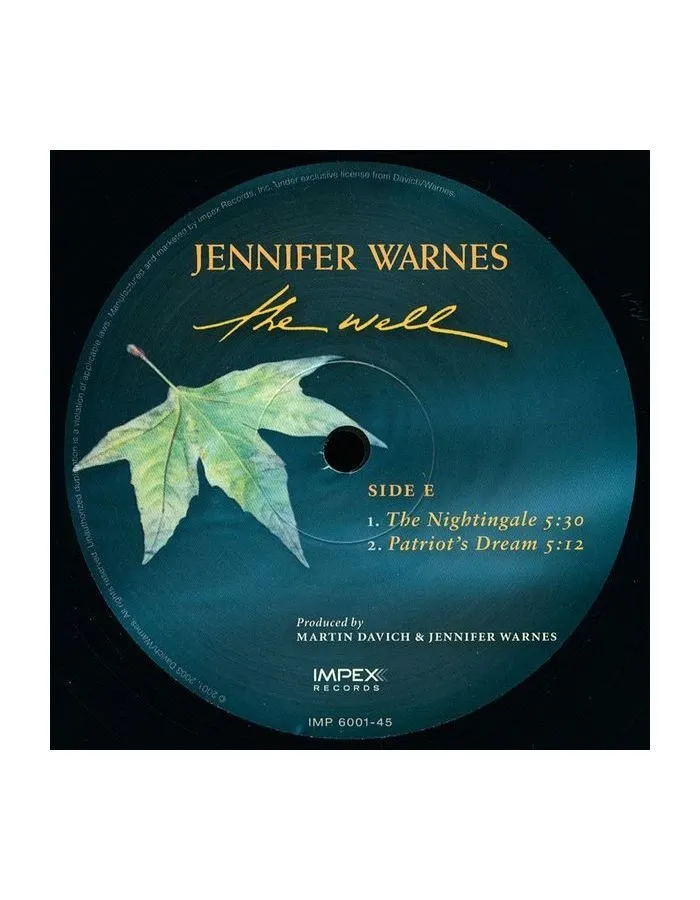 Виниловая пластинка Warnes, Jennifer, The Well (Analogue) (0725543954411) - фото 7