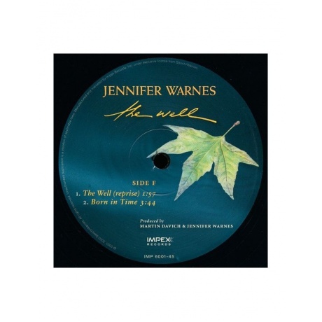 Виниловая пластинка Warnes, Jennifer, The Well (Analogue) (0725543954411) - фото 8