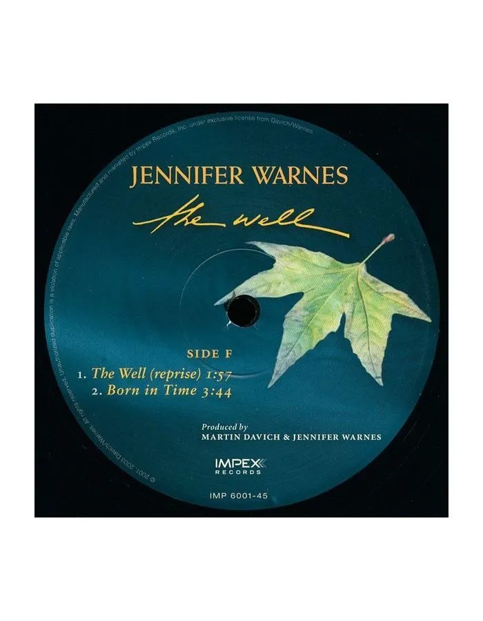 Виниловая пластинка Warnes, Jennifer, The Well (Analogue) (0725543954411) - фото 8