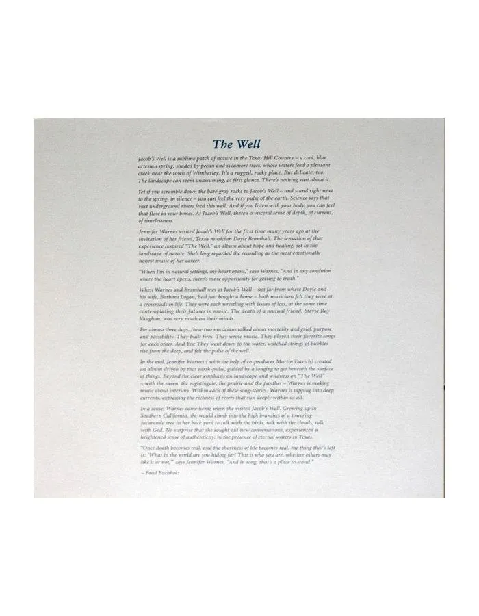 Виниловая пластинка Warnes, Jennifer, The Well (Analogue) (0725543954411) - фото 10