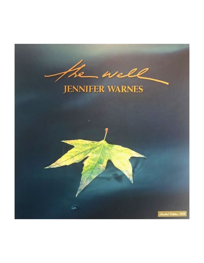 Виниловая пластинка Warnes, Jennifer, The Well (Analogue) (0725543954411) виниловая пластинка jennifer gentle jennifer gentle