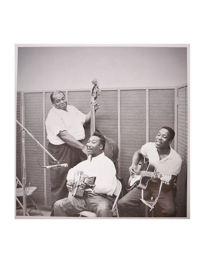 Виниловая пластинка Waters, Muddy, Folk Singer (Analogue) (0753088148316) - фото 9