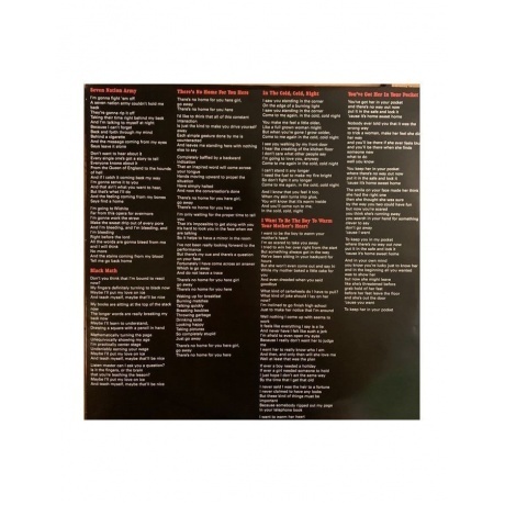 The White Stripes - Elephant (0194398424019) виниловая пластинка - фото 11