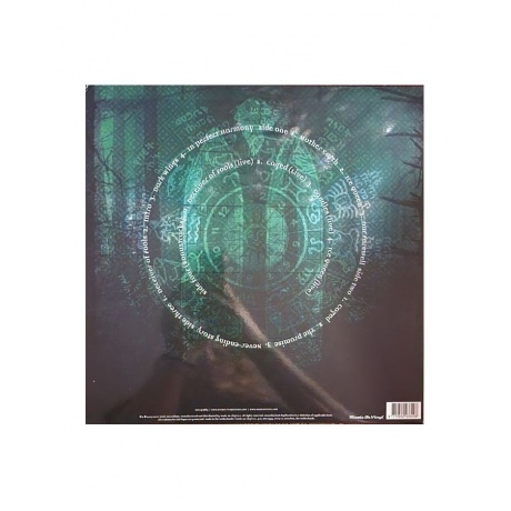 Within Temptation - Mother Earth (8719262033498) виниловая пластинка - фото 3