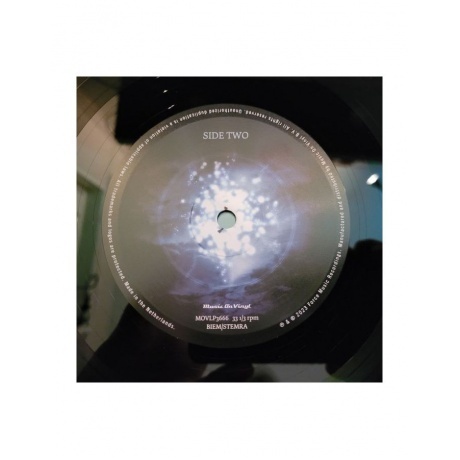 Within Temptation, Silent Force (8719262033504) виниловая пластинка - фото 4