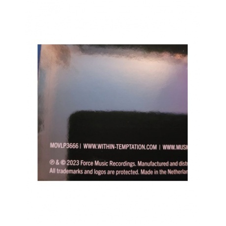 Within Temptation, Silent Force (8719262033504) виниловая пластинка - фото 7