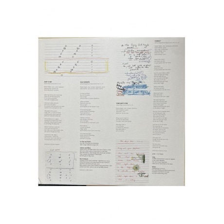 Robert Wyatt - Cuckooland (5034202204718) виниловая пластинка - фото 5