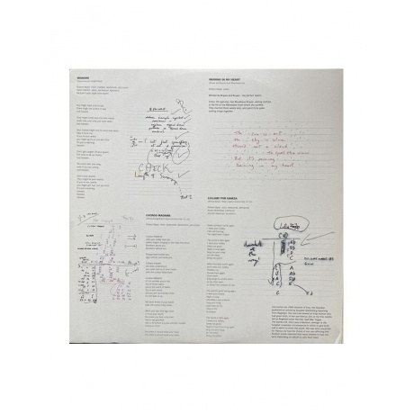 Robert Wyatt - Cuckooland (5034202204718) виниловая пластинка - фото 6