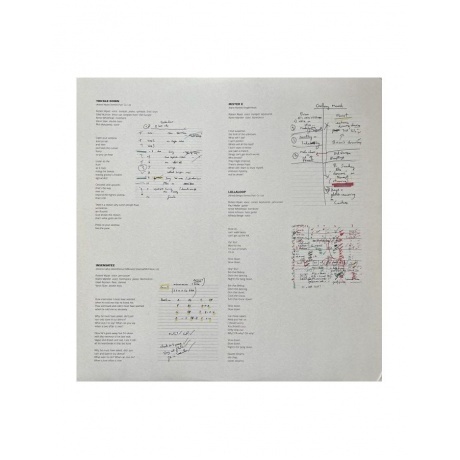 Robert Wyatt - Cuckooland (5034202204718) виниловая пластинка - фото 7