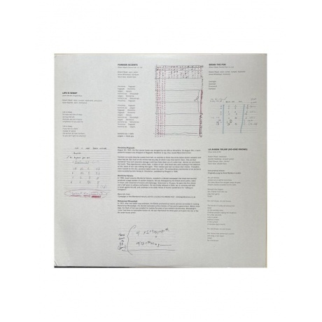 Robert Wyatt - Cuckooland (5034202204718) виниловая пластинка - фото 8