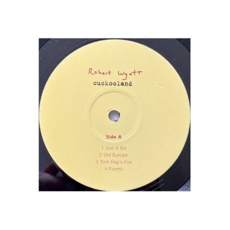 Robert Wyatt - Cuckooland (5034202204718) виниловая пластинка - фото 10