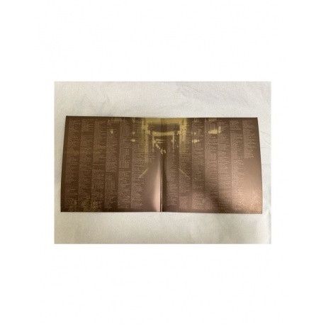 Скриптонит - Дом с нормальными явлениями (4601620999826) виниловая пластинка - фото 5