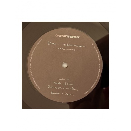 Скриптонит - Дом с нормальными явлениями (4601620999826) виниловая пластинка - фото 6