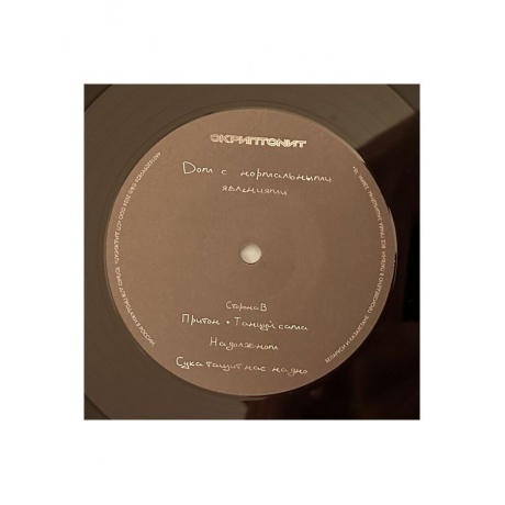 Скриптонит - Дом с нормальными явлениями (4601620999826) виниловая пластинка - фото 7