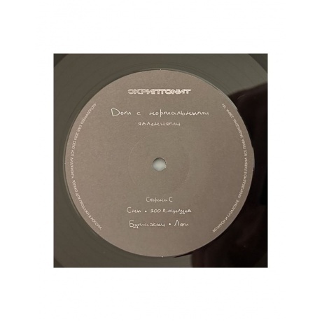 Скриптонит - Дом с нормальными явлениями (4601620999826) виниловая пластинка - фото 8