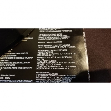 Rise Against - Nowhere Generation II (EP) (0888072446823) виниловая пластинка - фото 11