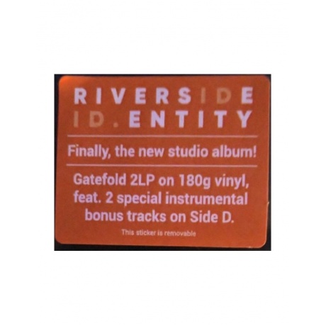 Виниловая пластинка Riverside, ID.Entity (0196587532017) - фото 3