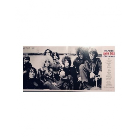 Amon Duul - Disaster (4059251606659) виниловая пластинка - фото 2