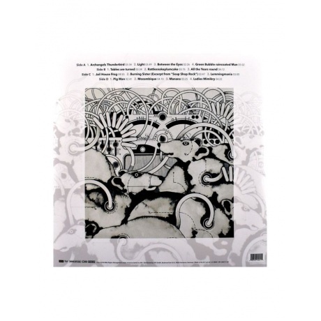 Amon Duul II - Lemmingmania (0693723042114) виниловая пластинка - фото 2