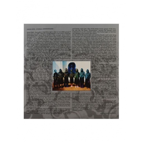 Amon Duul II - Lemmingmania (0693723042114) виниловая пластинка - фото 11