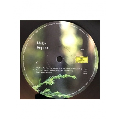 Виниловая пластинка Moby, Reprise (0028948398676) - фото 11