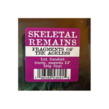 Виниловая пластинка Skeletal Remains, Fragments Of The Ageless (coloured) (0196588536915) - фото 3