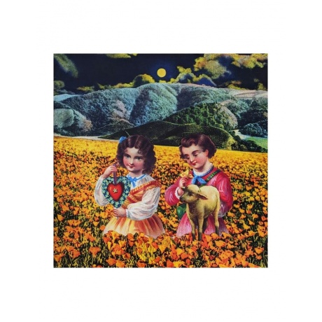 Виниловая пластинка Smashing Pumpkins, The, Mellon Collie And The Infinite Sadness (Box) (5099997855316) - фото 6