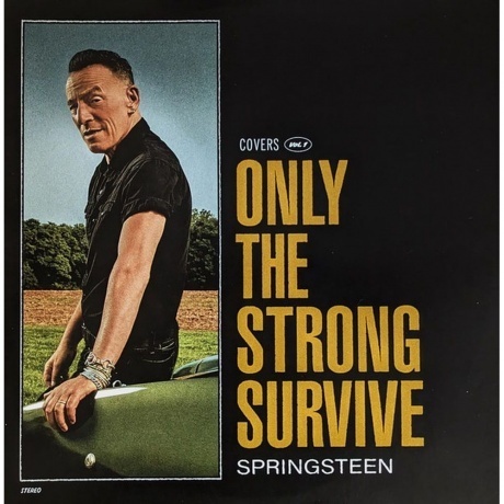 Bruce Springsteen - Only The Strong Survive (0196587453619) виниловая пластинка - фото 1