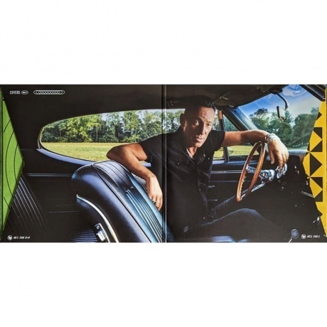 Bruce Springsteen - Only The Strong Survive (0196587453619) виниловая пластинка - фото 2