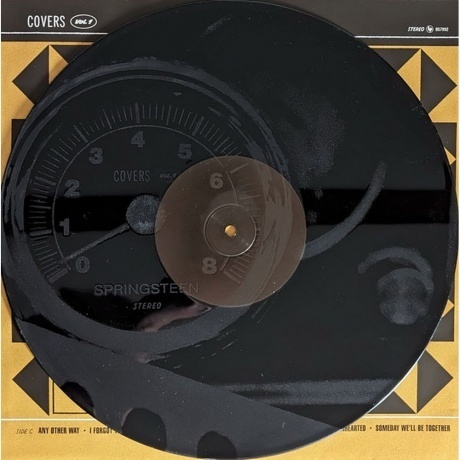 Bruce Springsteen - Only The Strong Survive (0196587453619) виниловая пластинка - фото 11