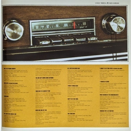 Bruce Springsteen - Only The Strong Survive (0196587453619) виниловая пластинка - фото 14