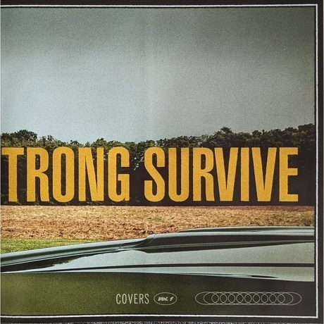 Bruce Springsteen - Only The Strong Survive (0196587453619) виниловая пластинка - фото 15