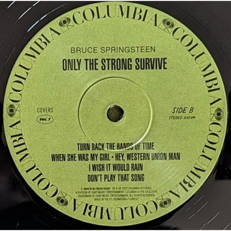 Bruce Springsteen - Only The Strong Survive (0196587453619) виниловая пластинка - фото 7
