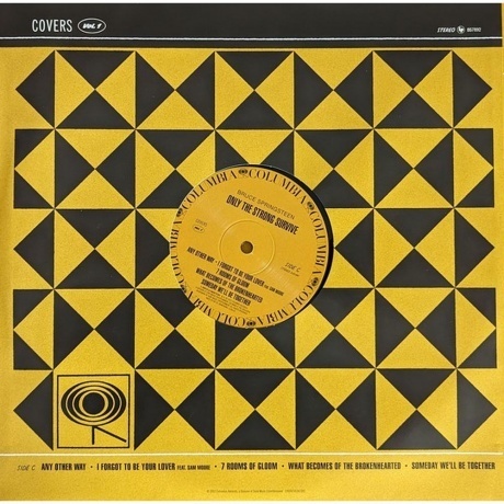 Bruce Springsteen - Only The Strong Survive (0196587453619) виниловая пластинка - фото 8