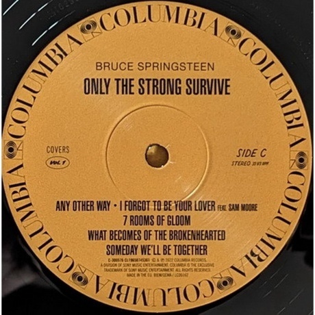 Bruce Springsteen - Only The Strong Survive (0196587453619) виниловая пластинка - фото 10