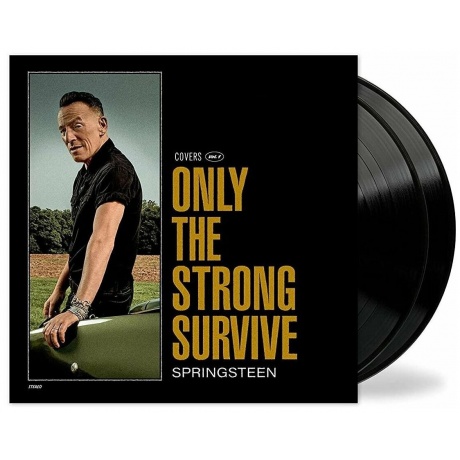 Виниловая пластинка Springsteen, Bruce, Only The Strong Survive (0196587453619) - фото 1