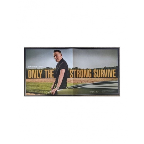 Виниловая пластинка Springsteen, Bruce, Only The Strong Survive (0196587453619) - фото 13