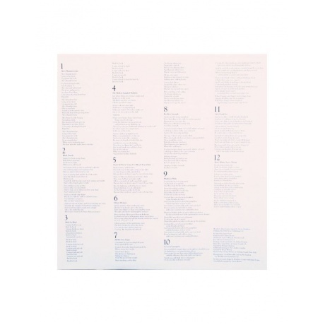 Arctic Monkeys - Suck It And See (5034202025818) виниловая пластинка - фото 7