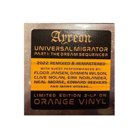 0810020508444, Виниловая пластинка Ayreon, Universal Migrator Part I: The Dream Sequence (coloured) - фото 4